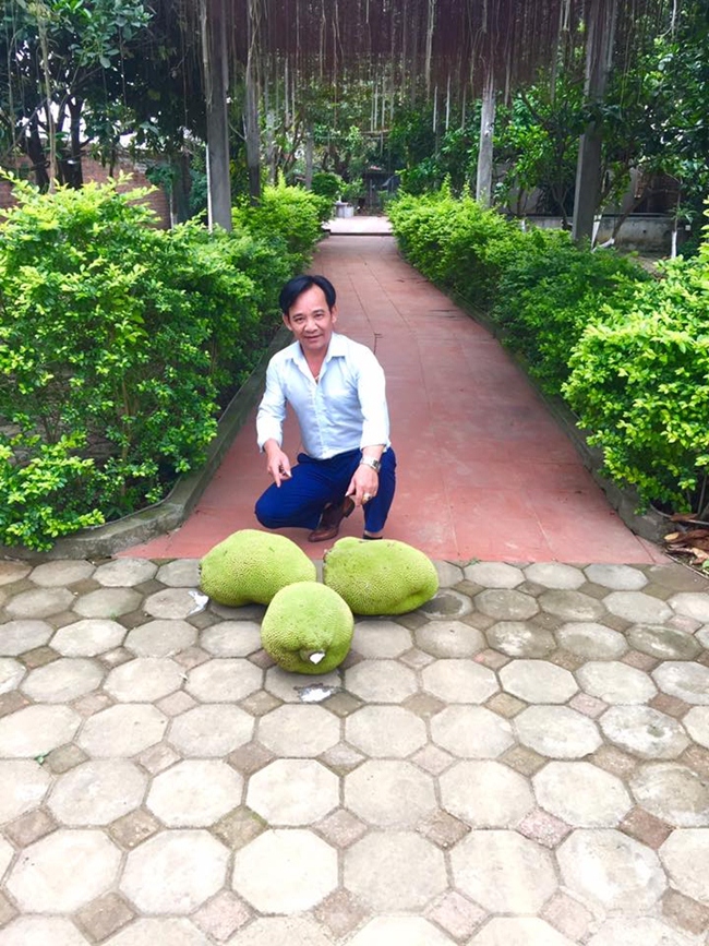 quang teo - chien thang do gia san khung: ai nhieu tien hon? hinh anh 10