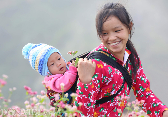 anh: me man nhung doi hoa tam giac mach o ha giang hinh anh 8