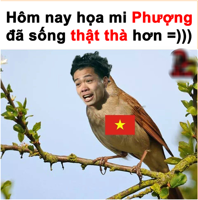 cong phuong 