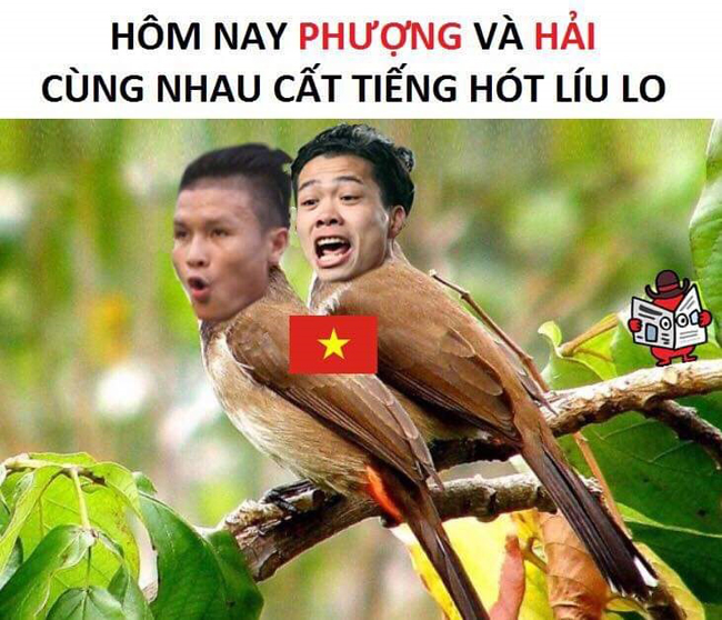 cong phuong 