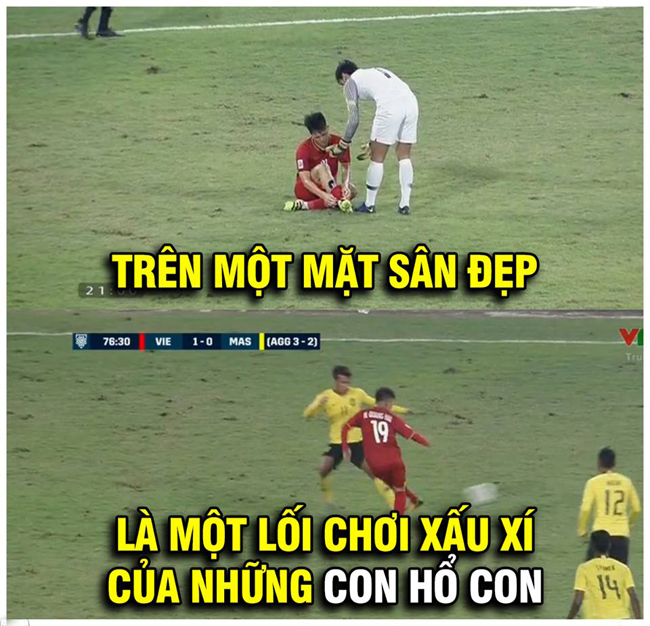 mang xa hoi ngap tran anh che an mung viet nam vo dich aff cup 2018 hinh anh 12