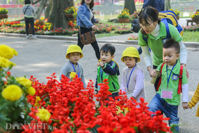 anh: trien lam hoa, cay canh tram trieu thu hut nguoi dan ha noi hinh anh 11