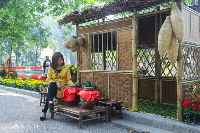 anh: trien lam hoa, cay canh tram trieu thu hut nguoi dan ha noi hinh anh 6