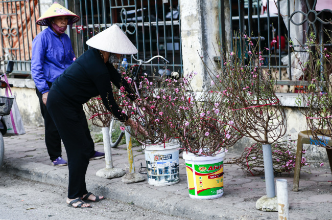 dao no som 200.000 dong/canh, dan ru nhau mua ve choi tet duong lich hinh anh 6