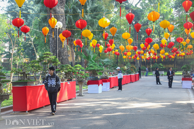 anh: trien lam hoa, cay canh tram trieu thu hut nguoi dan ha noi hinh anh 7