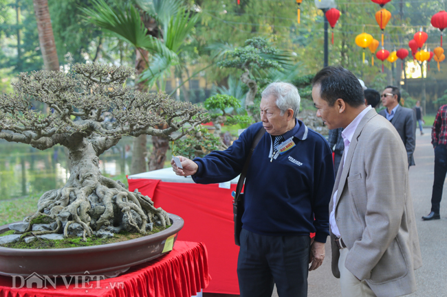 anh: trien lam hoa, cay canh tram trieu thu hut nguoi dan ha noi hinh anh 8