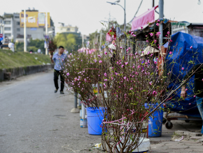 dao no som 200.000 dong/canh, dan ru nhau mua ve choi tet duong lich hinh anh 9