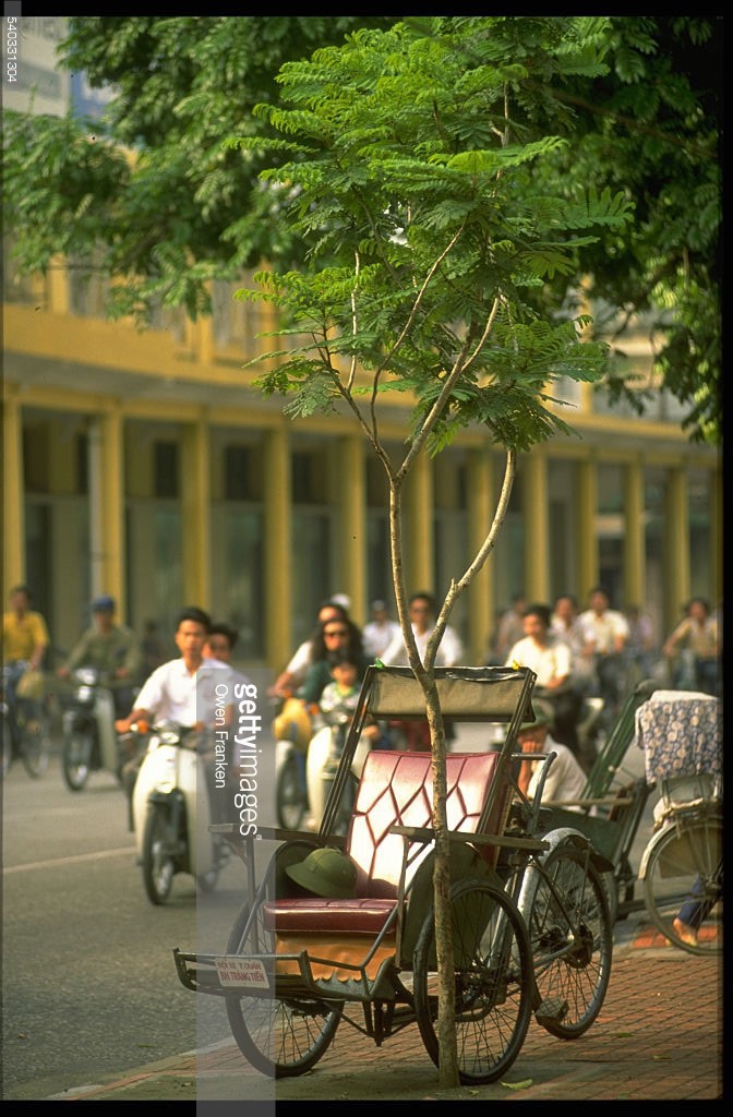 Quá trình đổi kiểu tóc của Việt Trinh từ thập niên 1990  VnExpress Giải trí