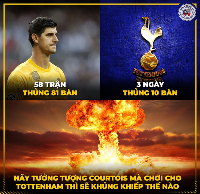 dan mang che anh tottenham 