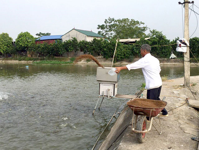 Vùng nuôi cá tra VietGAP  Báo Đồng Nai điện tử