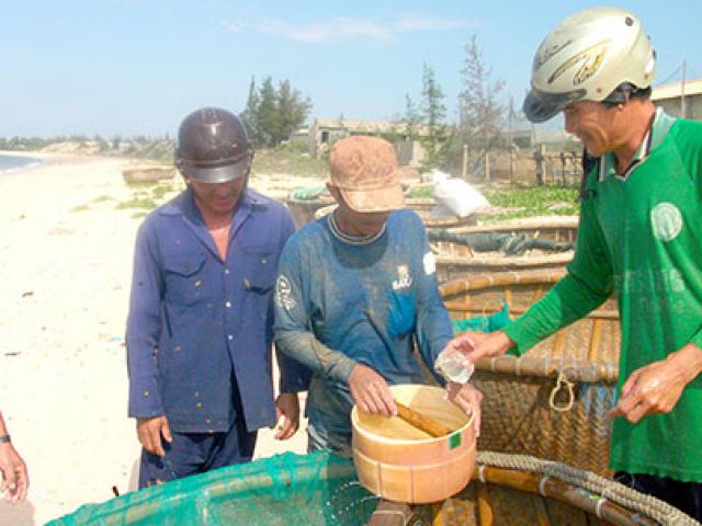 Bình Thuận: Mùa &quot;lộc biển&quot; dân đi bắt con gì mà kiếm 5-7 triệu/ngày?