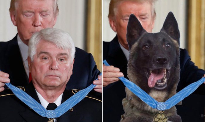 Tổng thống Trump đăng ảnh chế về chú chó dồn trùm IS vào đường cùng