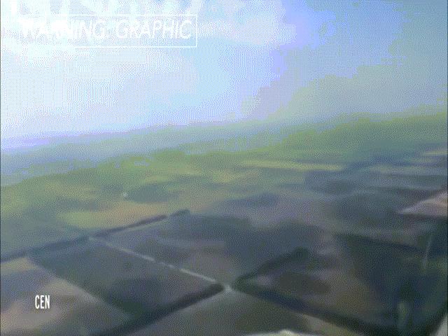 Video: Khoảnh khắc chim “nổ tung” khi đâm vào máy bay Boeing 737