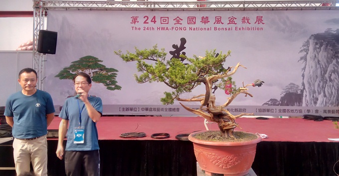 Dàn ;người mẫu; bonsai Đài Loan cực khủng sắp ;đổ bộ; về Sài thành