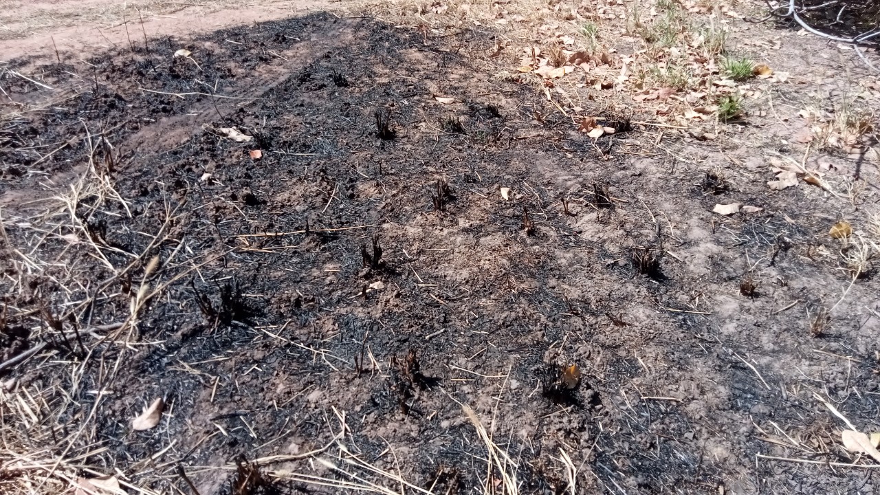 Vụ mặt đất "bốc cháy" ở Đắk Lắk: Đề xuất các nhà khoa học vào cuộc tìm hiểu nguyên nhân- Ảnh 4.