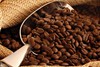 Tại sao các nhà xuất khẩu cà phê Việt Nam nên để mắt đến thị trường Bắc Âu?
