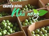 Chuyển động Nhà nông 02/7: Trung Quốc đồng ý nhập khẩu chanh leo Việt Nam
