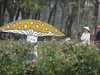 Công viên Thống Nhất trồng 10.000 cây hoa hồng thay thế hàng rào sắt 