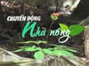 Chuyển động Nhà nông 27/3: Kon Tum đặt mục tiêu có 10 nghìn ha sâm Ngọc Linh vào năm 2030