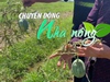 Chuyển động Nhà nông 1/6: Kỳ lạ cánh đồng “trồng gì chết ấy” ở Thái Bình