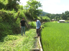 Nhờ cách làm này mà nông dân Lai Châu mở rộng được diện tích canh tác, tăng năng suất cây trồng