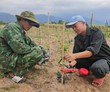 Xáo tam phân là cây gì, quý hiễm cỡ nào mà ở nơi này của Khánh Hòa nông dân đang trồng, nhân giống?