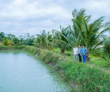 Đem loài “thủy quái” ở sông Sêrêpốk vô nuôi ao đất, bắt lên toàn con to bự, hễ nói bán là hết sạch