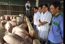 Thái Bình nói không với chất cấm trong chăn nuôi