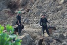 Sạt lở đất Hòa Bình: Chó nghiệp vụ bới đống đổ nát tìm thi thể người mất tích