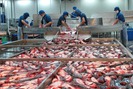 Bị rút thẻ vàng, hải sản Việt Nam có nguy cơ cấm xuất khẩu vào EU