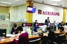 Agribank Bắc Giang gõ cửa nông nghiệp sạch