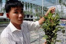 Người thuần dưỡng 150 loài lan rừng độc lạ từ nhiều quốc gia
