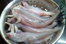 Tiết lộ thú vị về con cá khoai đặc sản biển Quảng Bình