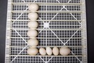 Máy ấp 16.000 quả trứng mỗi tháng ở Tiền Giang