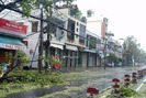 Bão số 12 tàn phá, Nha Trang - Quy Nhơn - Tuy Hòa tan hoang, khẩn trương cứu người trôi dạt