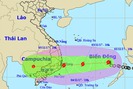 Thời tiết hôm nay: Bão số 12 tăng cấp hướng vào Bình Định và Ninh thuận