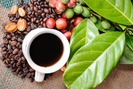 Giá nông sản hôm nay 20/11: Hồ tiêu vững vàng, giá cà phê đối mặt với đợt giảm sâu