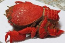 Những thủy hải sản là món đặc sản hiếm có, khó tìm ở Quy Nhơn
