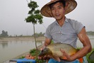 Nể phục chàng boxing sáng chế sông nhân tạo nuôi cá số 1 Việt Nam