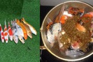 Chàng trai Đà Nẵng gây sốc cộng đồng mạng khi dùng cá Koi đắt tiền nấu ăn