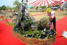 Bộ tiểu cảnh đẹp như “Việt Bắc thu nhỏ” giá vài trăm triệu đồng