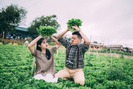 Bộ ảnh cưới cực đáng yêu của cặp đôi trẻ bên vườn rau sạch