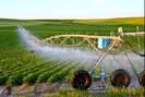 Nông nghiệp công nghệ cao phát triển theo xu hướng của công nghệ 4.0