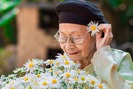 Bộ ảnh đặc biệt của bà ngoại 99 tuổi bên hoa cúc họa mi