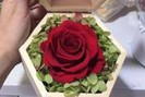 Hoa hồng "siêu độc" ngày Valentine