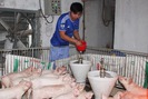 Agribank Hà Giang: Gần 90% vốn dành cho tam nông