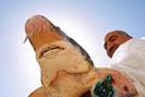 Trứng cá tầm ở Israel - món ăn "xa xỉ" bậc nhất thế giới