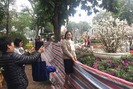 Thỏa sức "tự sướng" tại Lễ hội hoa Anh đào tại Hà Nội