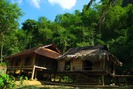 Du lịch bản Thái trong rừng trúc ở Thanh Hóa