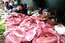 Giá lợn giảm sốc, giảm giá thịt ngoài chợ có cứu được người chăn nuôi